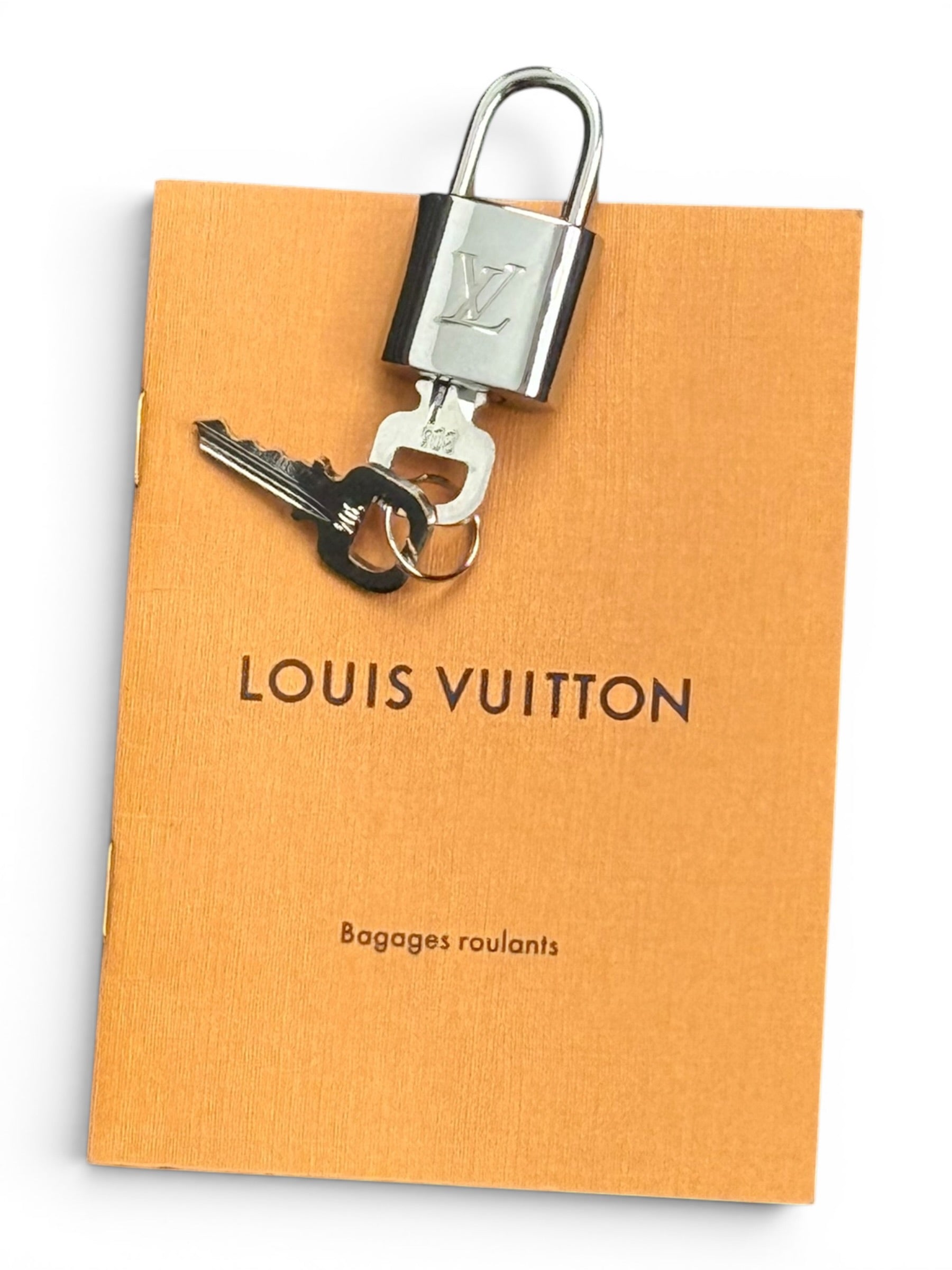 Louis Vuitton Pégase 50 – Damier Graphite Suitcase