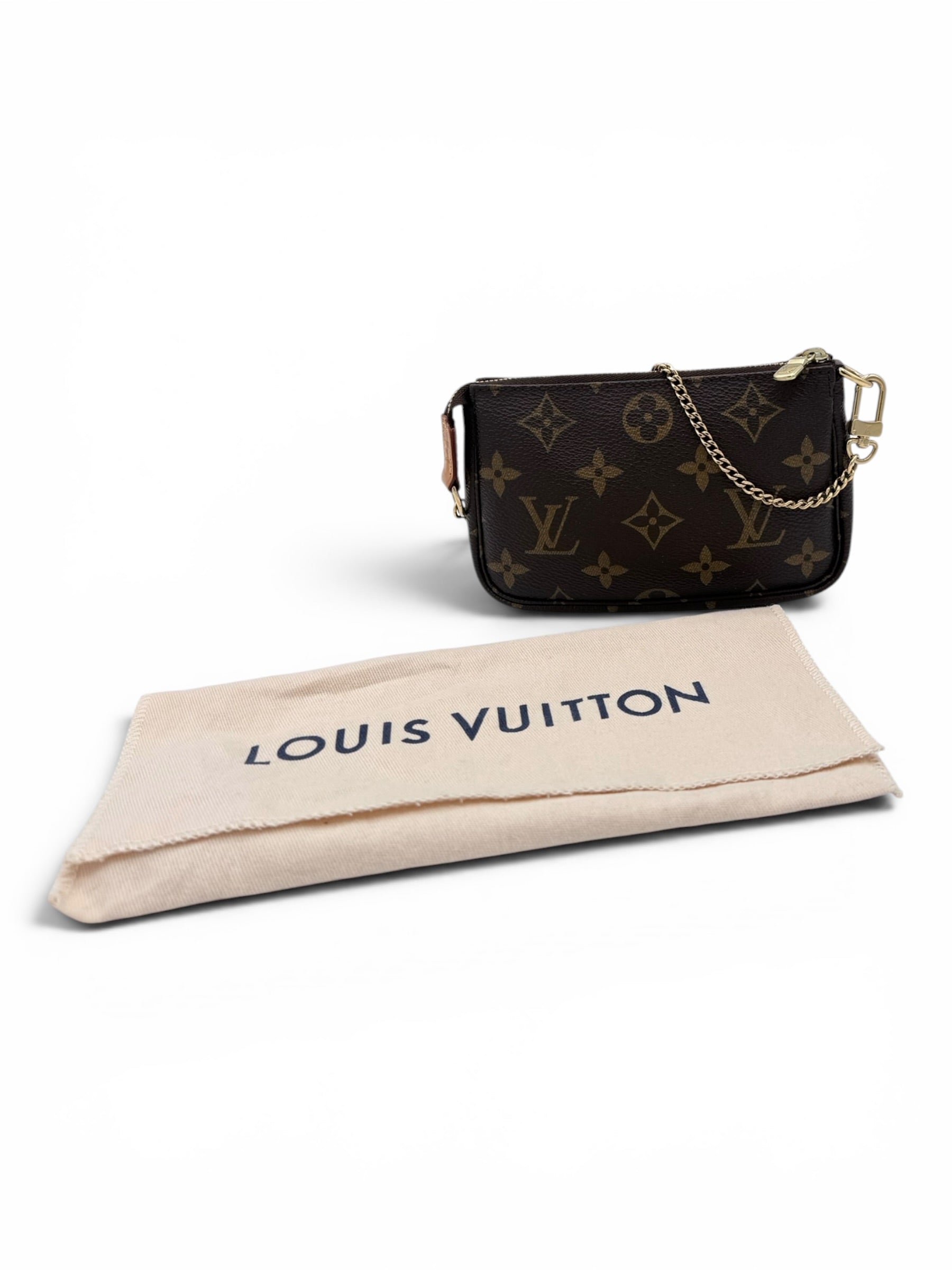 Louis Vuitton Pochette Mini Accessories